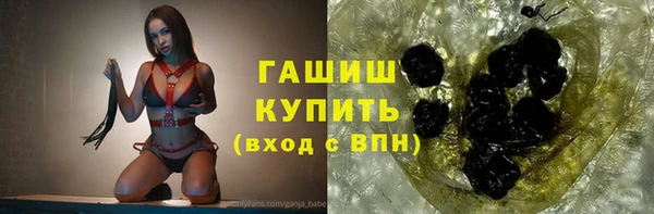 стафф Алексин