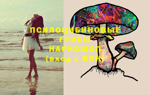 стафф Алексин