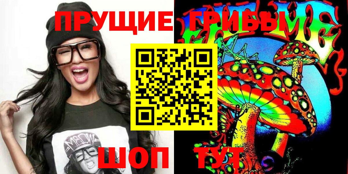 как найти   Псилоцибиновые грибы Psilocybe  Балашиха  Вход с VPN  Псилоцибиновые грибы мицелий 