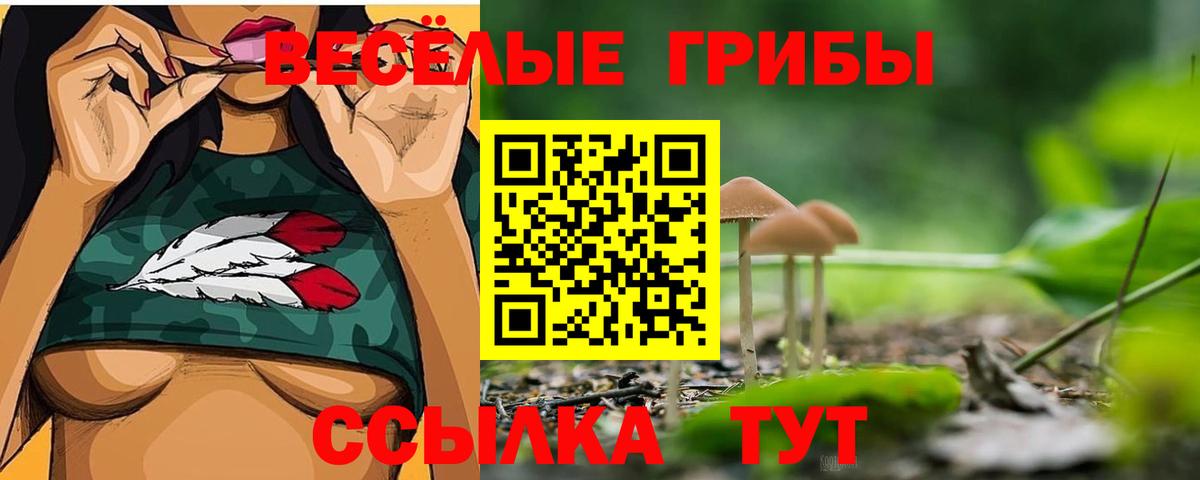 Галлюциногенные грибы GOLDEN TEACHER Балашиха